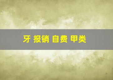 牙 报销 自费 甲类